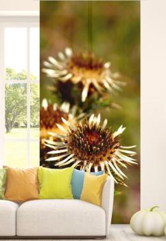 Preview: Silberdistel, Flächenvorhang 2er Set